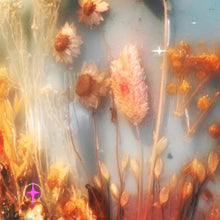 Load image into Gallery viewer, Suncatcher dried flowers &amp; shells
